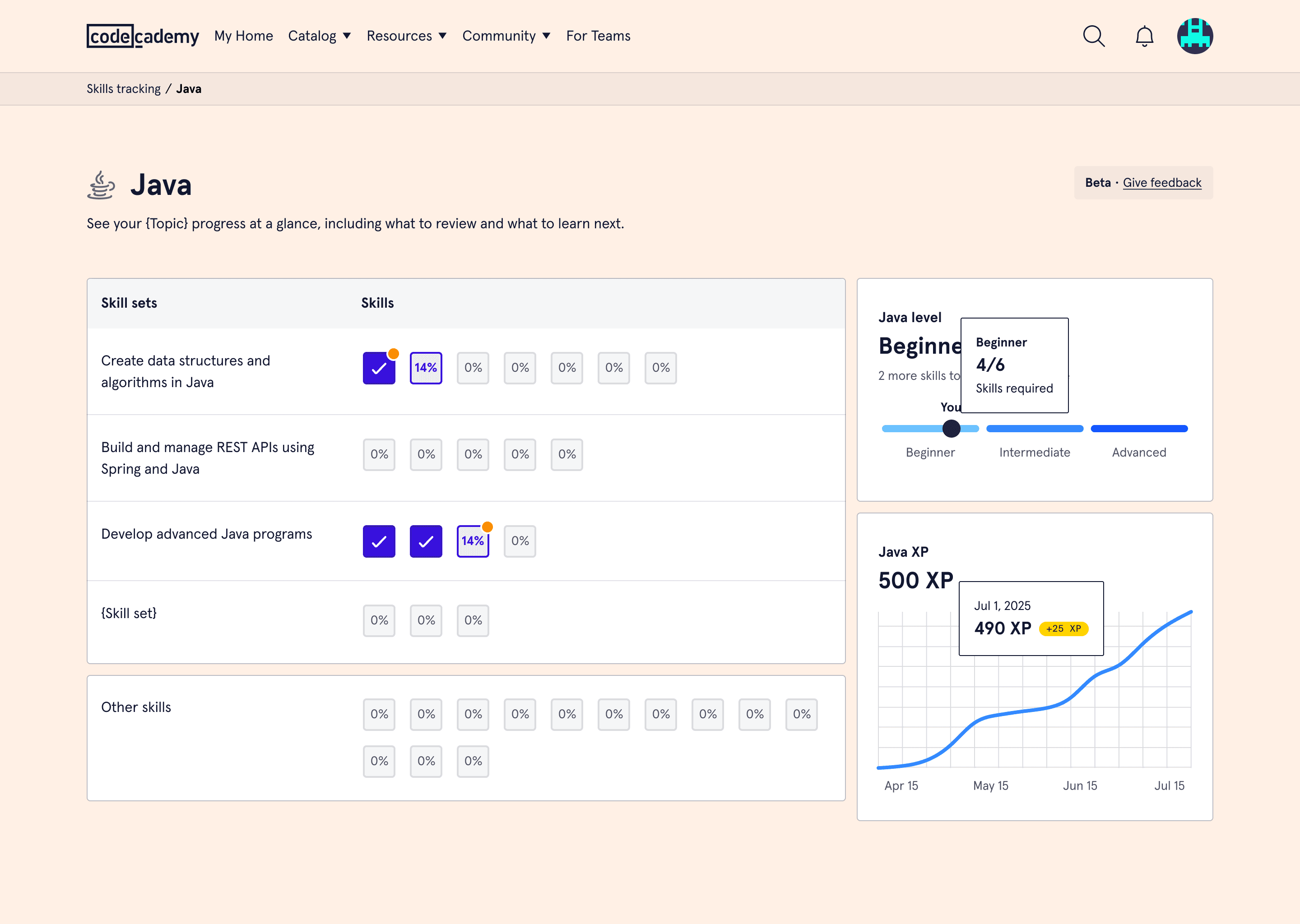 Java skills tracking page